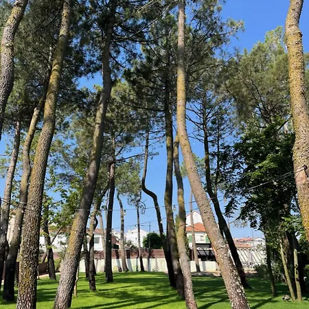 Casa Jardin El Colmenar 4* Las Navas del Marqués