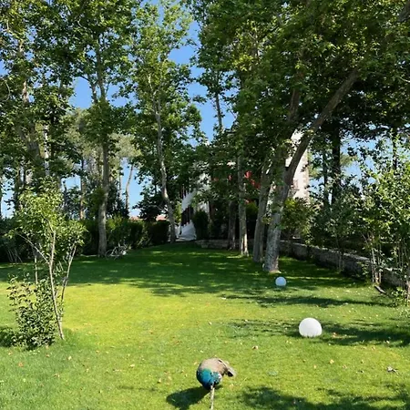 Casa Jardin El Colmenar 4* Las Navas del Marqués